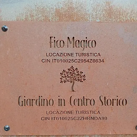 Fico Magico - Con Giardino, Centro Storico, Acquario *